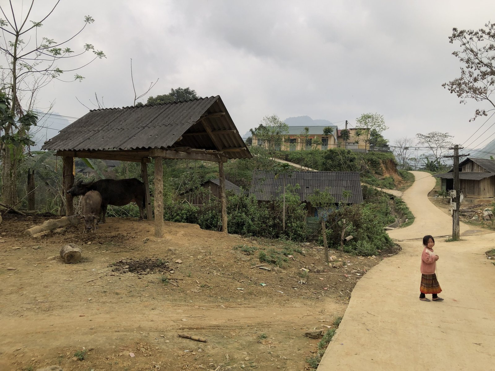 Epic 15-Day Ha Giang to Sapa Mountain Bike Tour